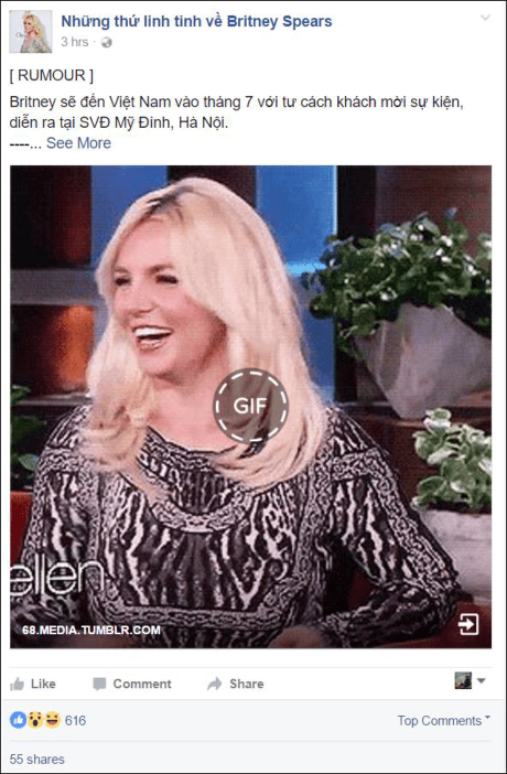 Fan Viet mat ngu vi tin don Britney Spears sap den Viet Nam - Anh 3