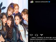 Một nhóm nữ Kpop gây sốc với bài đăng tuyệt vọng trên Instagram chính thức: Bị hack hay chính các thành viên đã tự đăng tải?