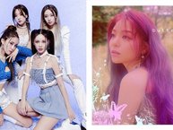 BTC đêm nhạc Việt - Hàn đổ lỗi cho T-ara, Ailee yêu sách nên hủy kèo phút chót, fan lập tức chỉ ra điểm lươn lẹo