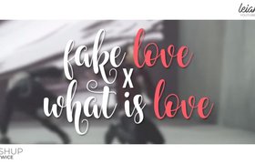 MASHUP FAKE LOVE x WHAT IS LOVE