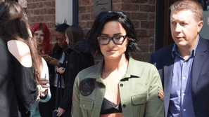 Demi Lovato bị chỉ trích vì “bơ” người hâm mộ