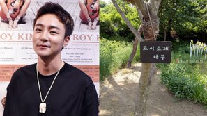 Quận Gangnam đưa ra phương án xử lý với khu rừng mang tên Roy Kim do fan xây dựng