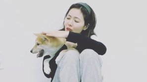 Fan lo lắng khi thấy video HyunA ôm chó khóc nức nở, nhưng sau khi tìm hiểu thì ai cũng cảm thấy ấm lòng 