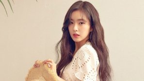 Irene (Red Velvet) chia sẻ về những gì mình đã làm trong khoảng thời gian không hoạt động, Knet mỉa mai: 'Vướng scandal mà cứ ngỡ đi nghỉ mát'