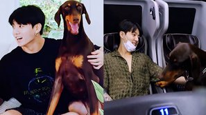 Chú chó của Jungkook (BTS) với màn debut gây bão trong 'In The SOOP': Vì sao nhiều netizen Hàn lại ngạc nhiên đến vậy?