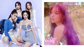 BTC đêm nhạc Việt - Hàn đổ lỗi cho T-ara, Ailee yêu sách nên hủy kèo phút chót, fan lập tức chỉ ra điểm lươn lẹo