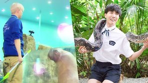 Người nổi tiếng và thế giới hoang dã: 7 màn phản ứng hài hước của thần tượng Kpop khi đối mặt với động vật