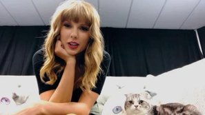 Chính thức: Taylor Swift xác nhận sẽ hát mở màn cho lễ trao giải American Music Awards 2018 