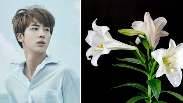 Nếu ở thế giới của các loài hoa, 7 chàng trai BTS sẽ là những bông hoa nào? - Cổng Thông Tin & Thương Mại Việt Nam - Hàn Quốc