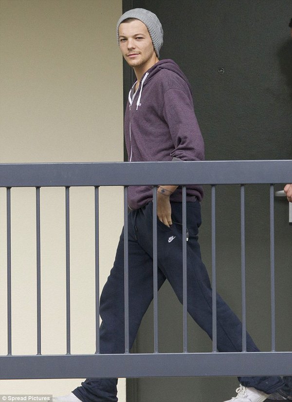 Louis ( cựu thành viên nhóm One Direction)